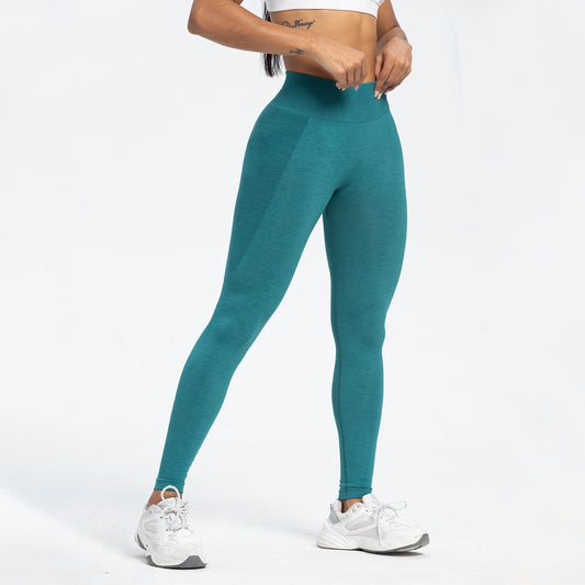 SEAMLESS HIGH WAIST FITNESS – YOGA SPORTS PANTS